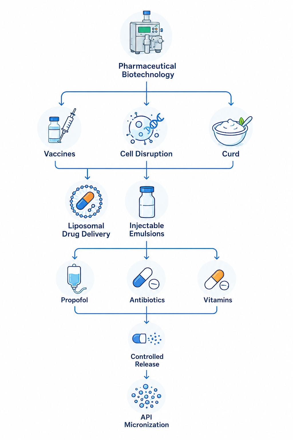 pharmaceutical & biotechnology